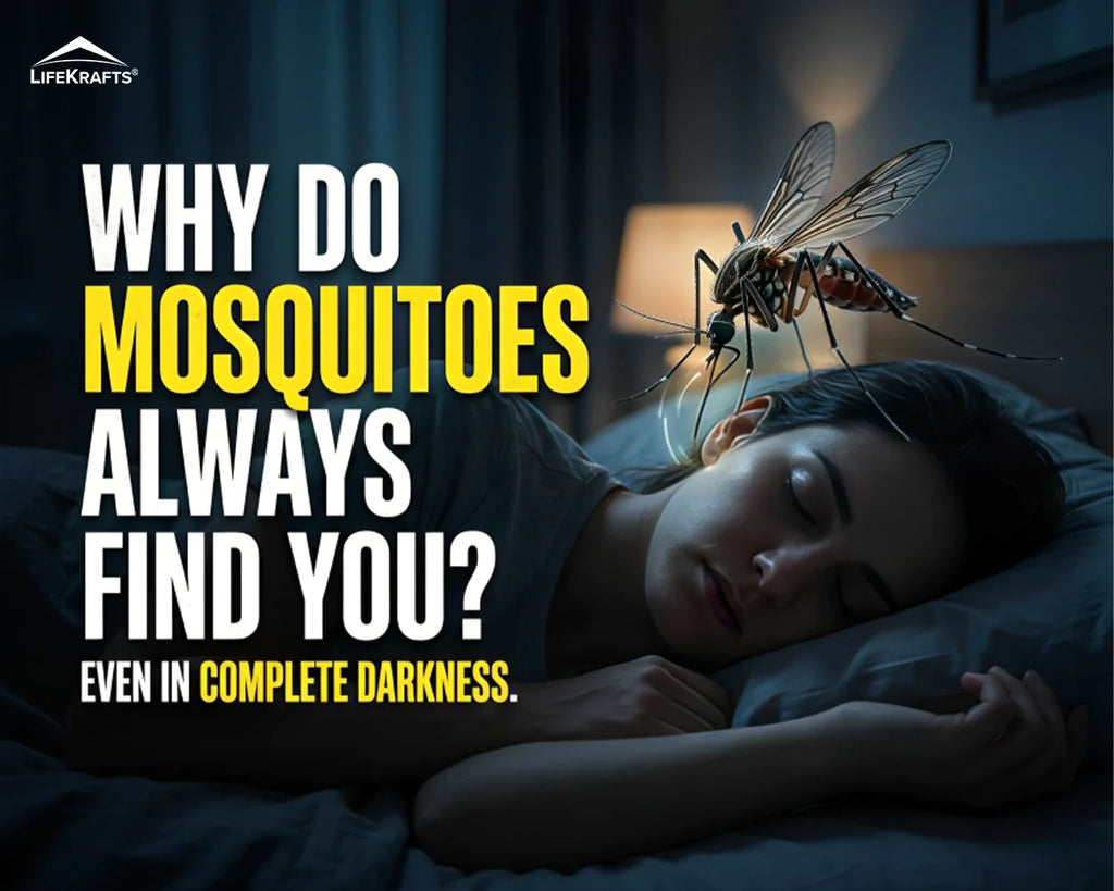 Why Does Mosquito Always Come Straight for You?