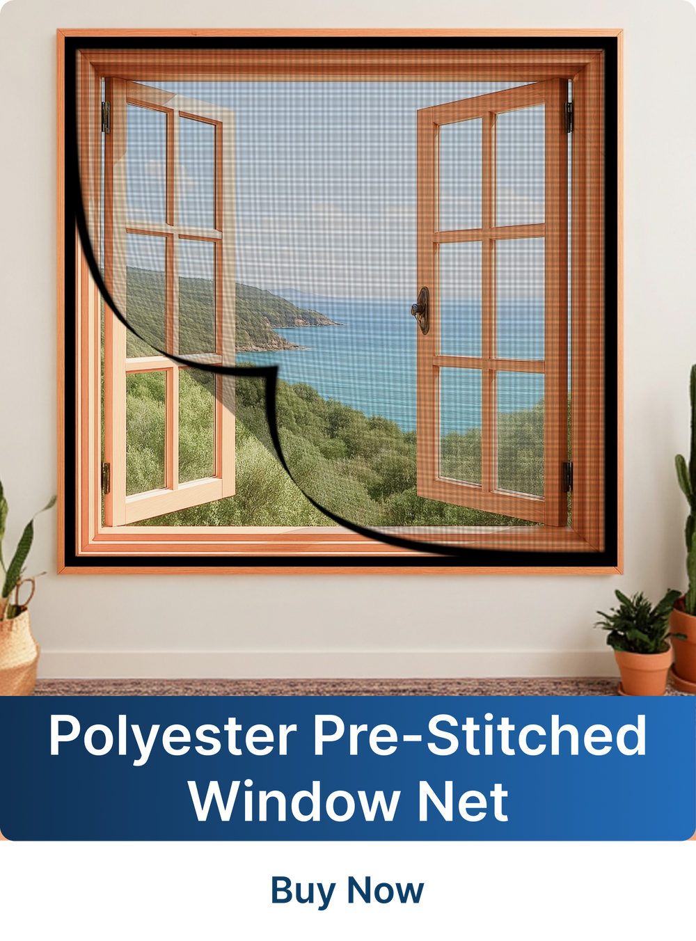 Window Nets