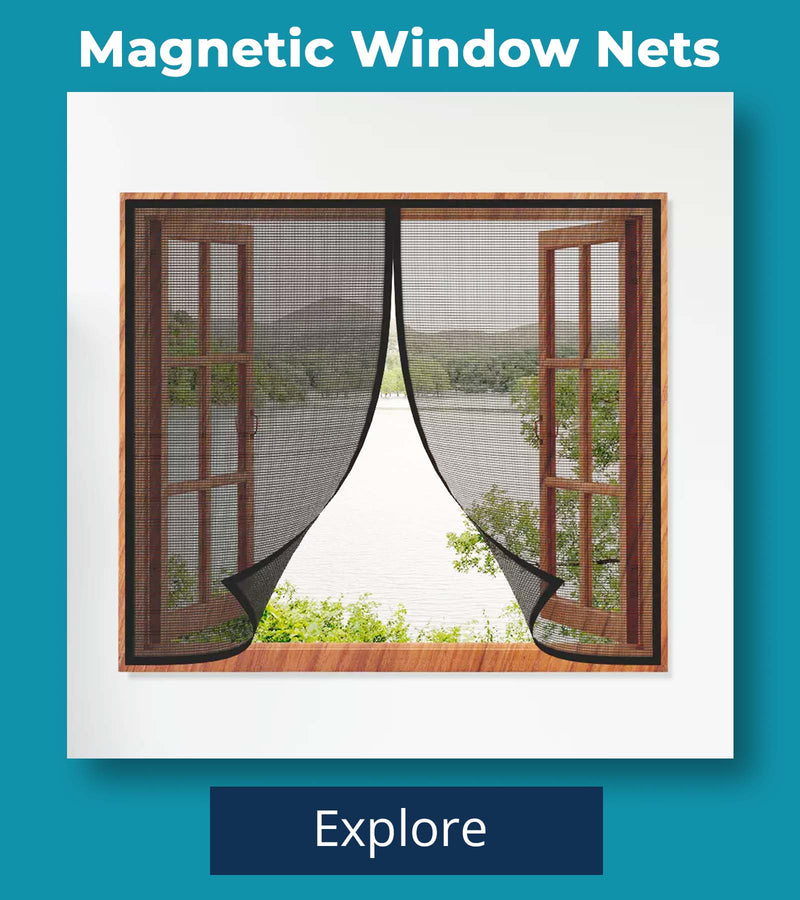 Window Nets