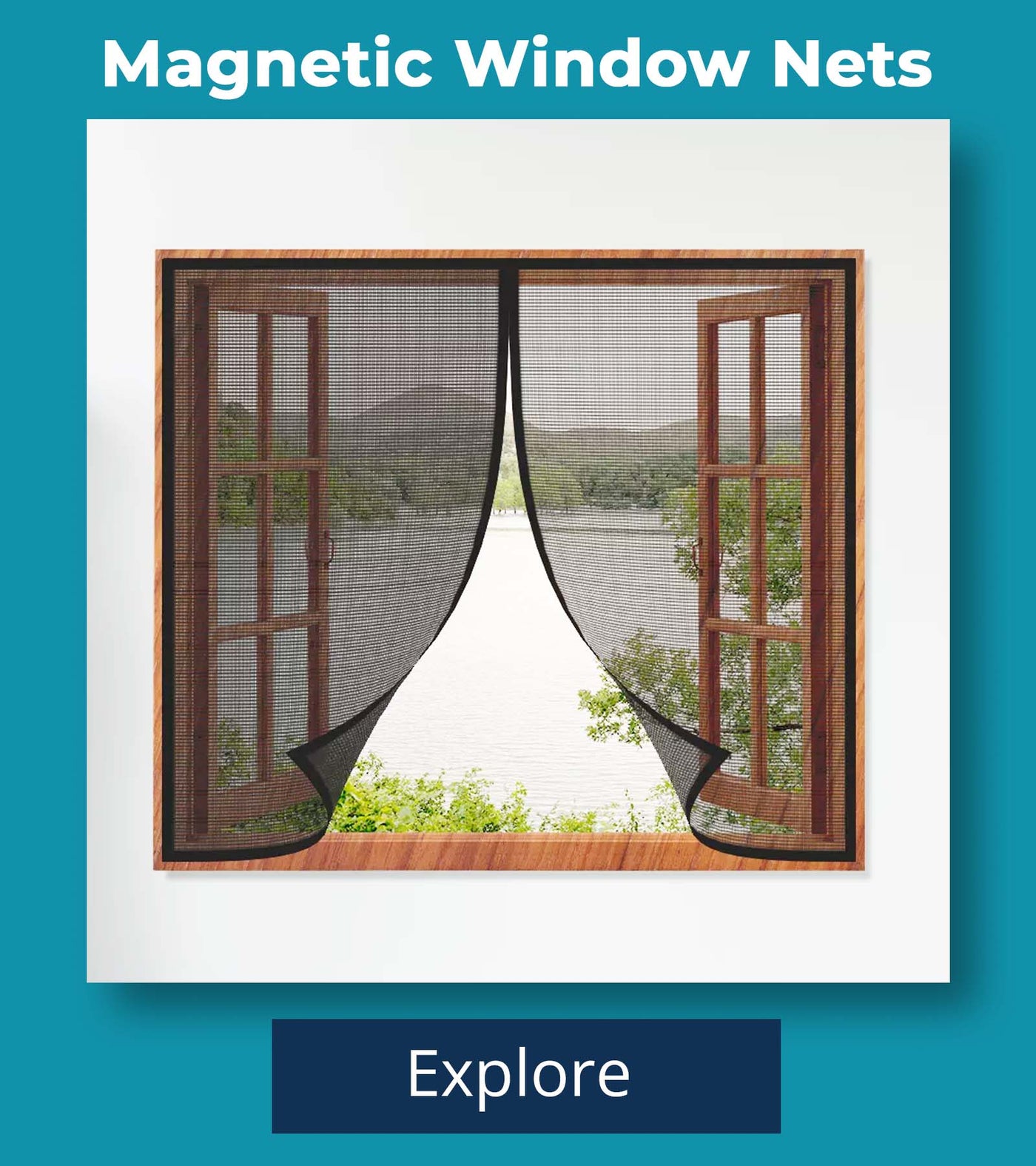 Window Nets