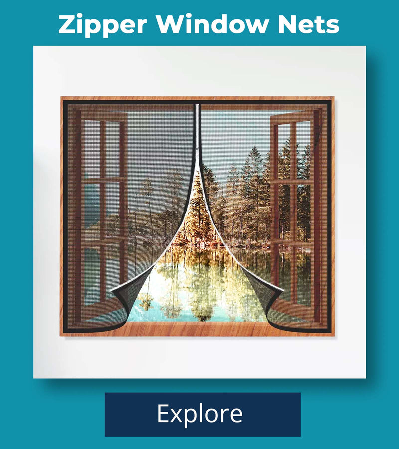 Window Nets