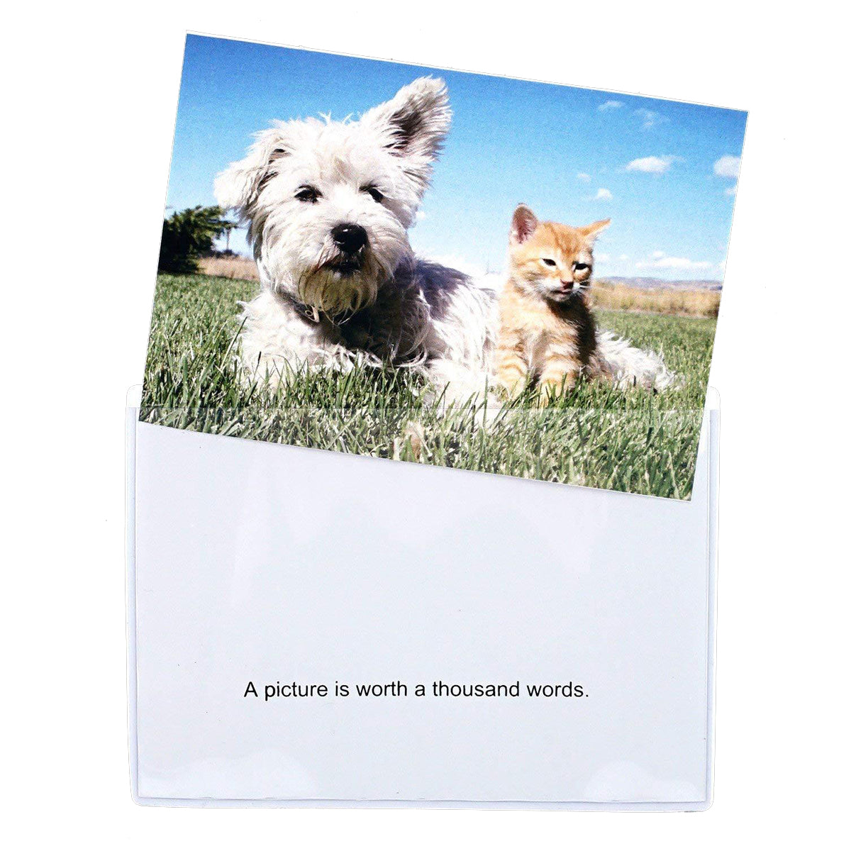 Magnetic Photo Frame - Size(6 x 4 inches) LifeKrafts